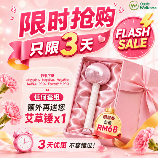 (Free) 艾草锤 Massage Hammer
