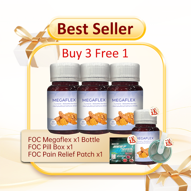 MEGAFLEX (60 Capsules)