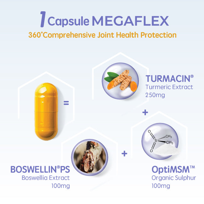 MEGAFLEX (60 Capsules)